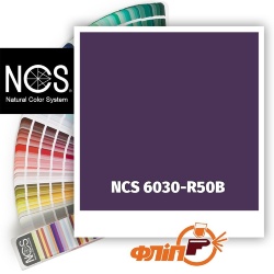 NCS 6030-R50B фото