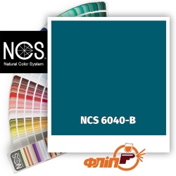 NCS 6040-B фото