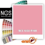 NCS 1030-R10B