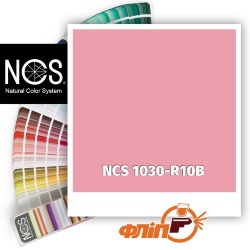 NCS 1030-R10B фото