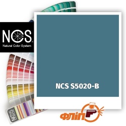 NCS S5020-B фото