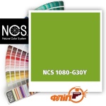 NCS 1080-G30Y