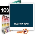 NCS 7019-R84B