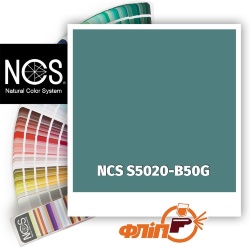 NCS S5020-B50G фото