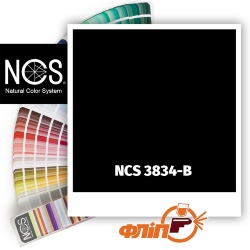 NCS 3834-B фото