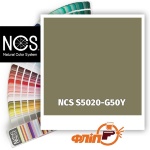 NCS S5020-G50Y