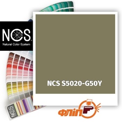 NCS S5020-G50Y фото