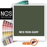 NCS 7020-G30Y