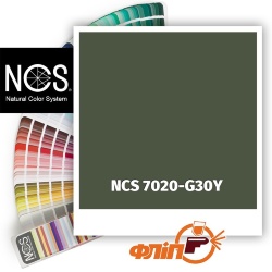 NCS 7020-G30Y фото