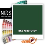 NCS 7030-G10Y