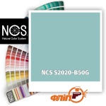 NCS S2020-B50G