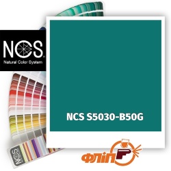 NCS S5030-B50G фото