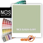 NCS S2020-G30Y