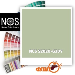 NCS S2020-G30Y фото