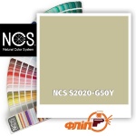 NCS S2020-G50Y