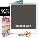 NCS 7502-G75Y