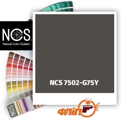 NCS 7502-G75Y фото