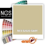NCS S2020-G60Y