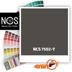 NCS 7502-Y фото