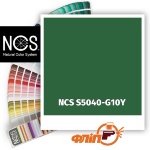 NCS S5040-G10Y