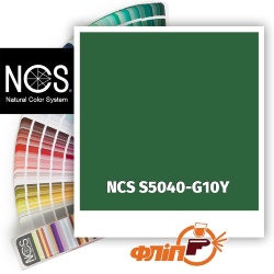 NCS S5040-G10Y фото