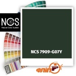 NCS 7909-G07Y