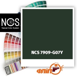 NCS 7909-G07Y фото