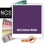 NCS S5040-R50B