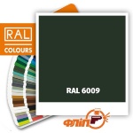 RAL 6009