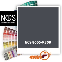 NCS 8005-R80B фото