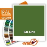 RAL 6010