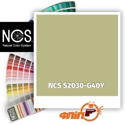 NCS S2030-G40Y фото