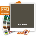 RAL 6014