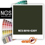 NCS 8010-G30Y