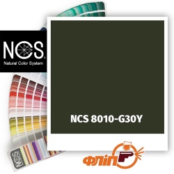 NCS 8010-G30Y фото