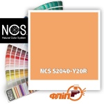 NCS S2040-Y20R