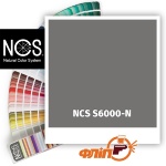 NCS S6000-N