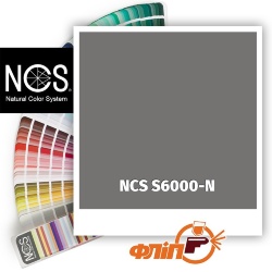 NCS S6000-N фото