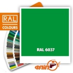 RAL 6037