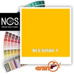 NCS S0580-Y