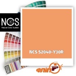 NCS S2040-Y30R