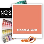 NCS S2040-Y60R