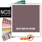NCS S6010-R10B