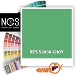 NCS S2050-G10Y