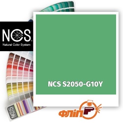NCS S2050-G10Y фото