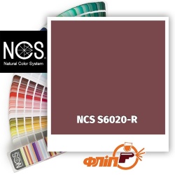 NCS S6020-R фото