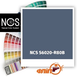 NCS S6020-R80B фото