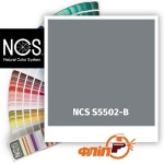 NCS S5502-B