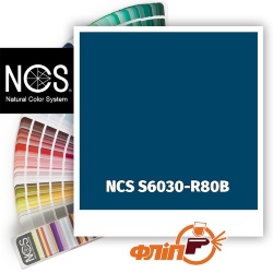 NCS S6030-R80B фото