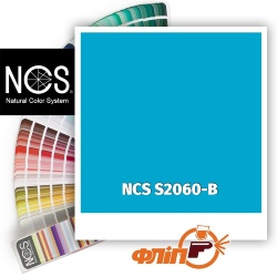 NCS S2060-B фото